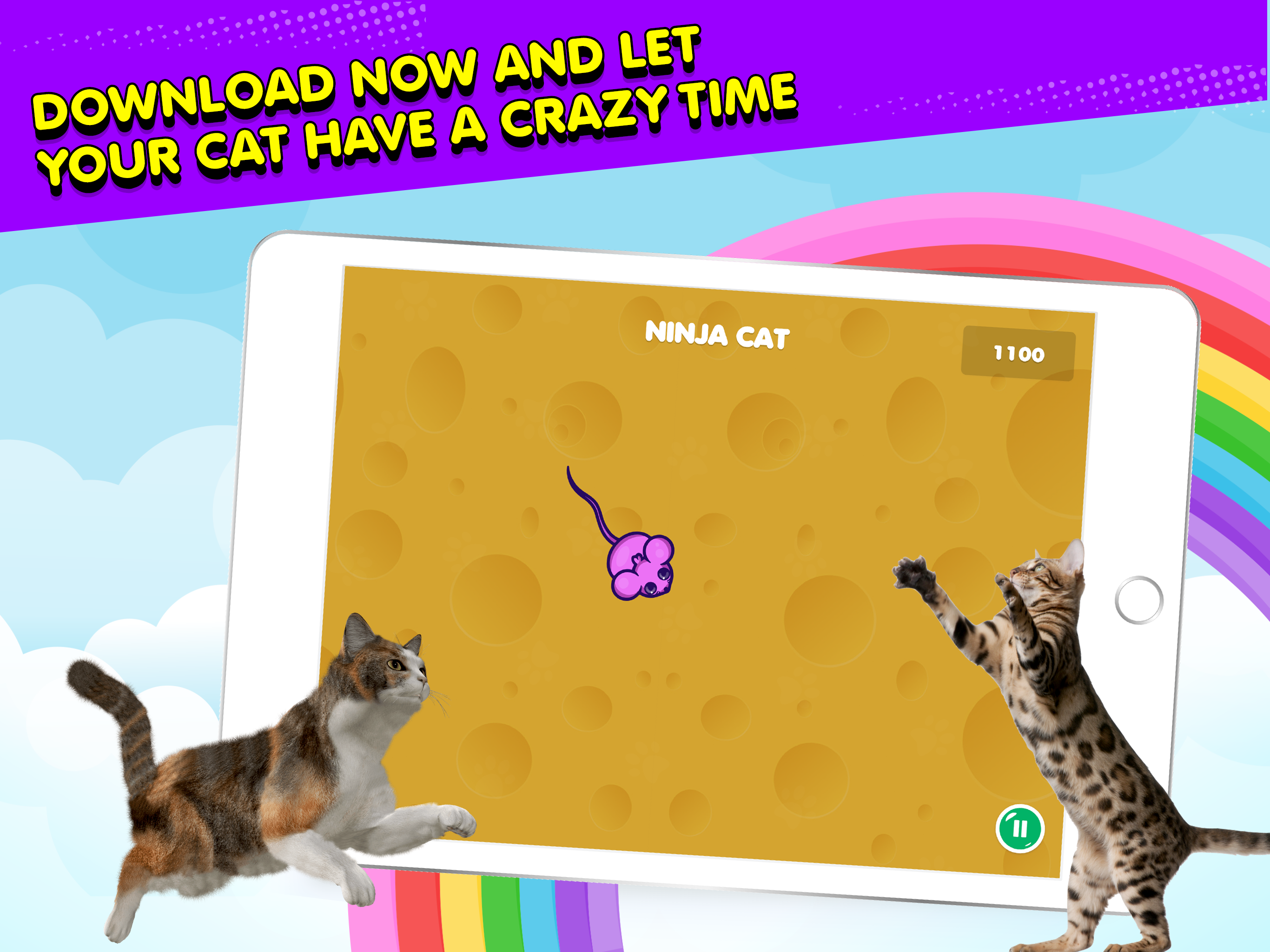 Ninja Cat: Game for Cats screenshot 5