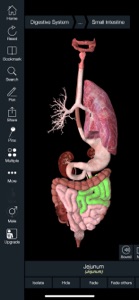 Essential Anatomy 5 screenshot #4 for iPhone