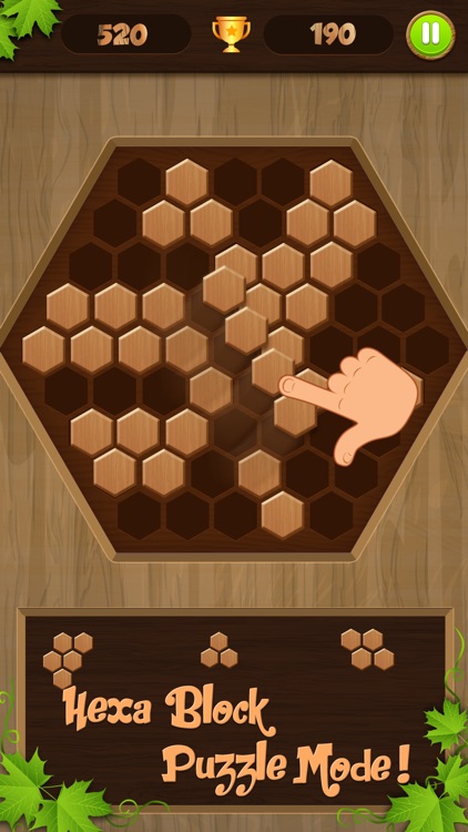 Wooden Block Jigsaw