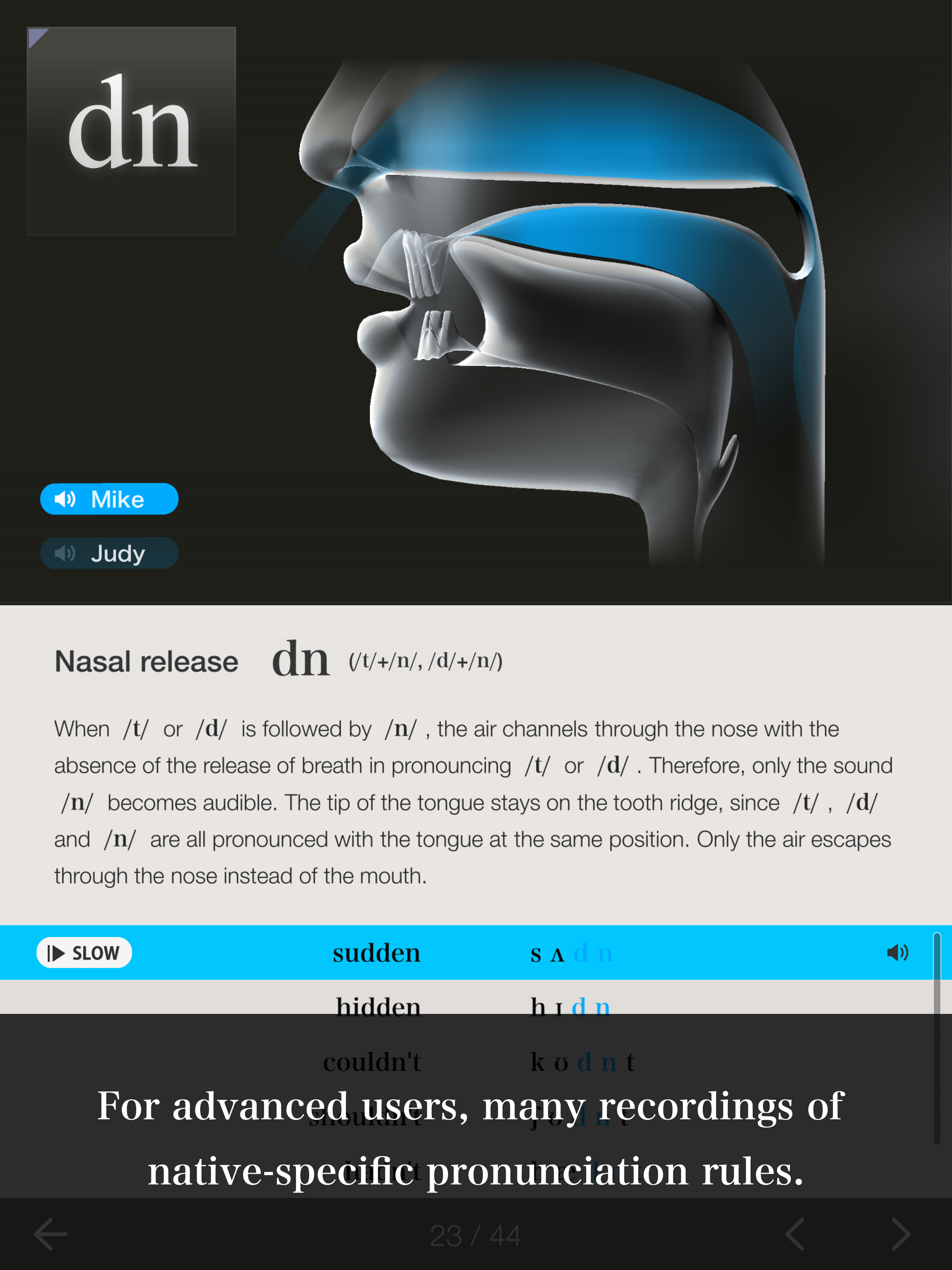 The Phonetics 3D