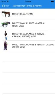 equine anatomy learning aid not working image-2