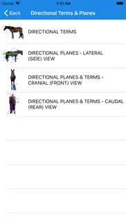 equine anatomy learning aid iphone screenshot 2