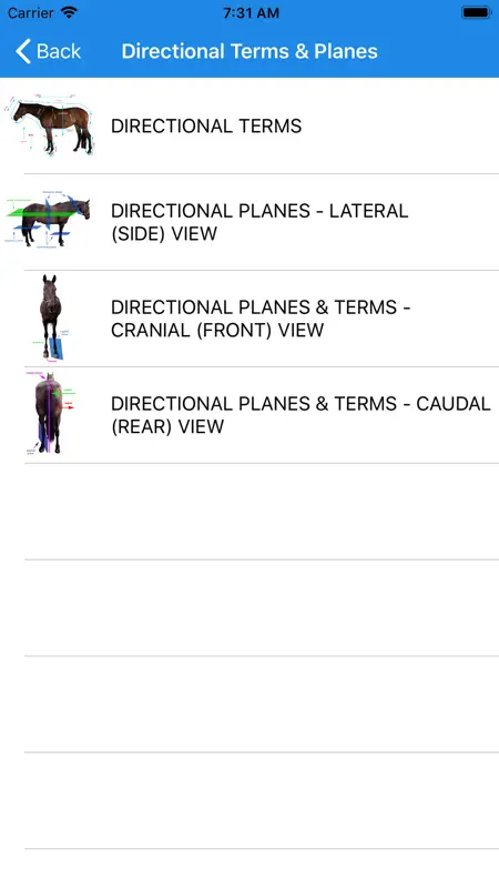 Equine Anatomy Learning Aid screenshot 2 of 4