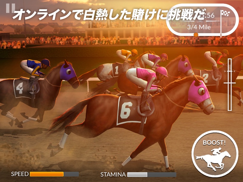 Photo Finish Horse Racing screenshot 7