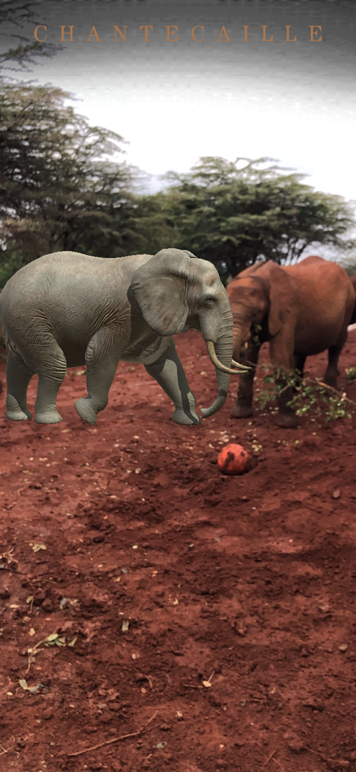 Chantecaille Wild Beauty