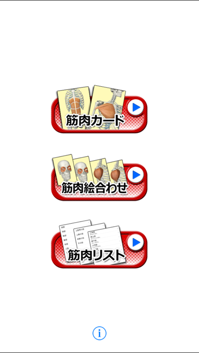 筋肉暗記 screenshot1