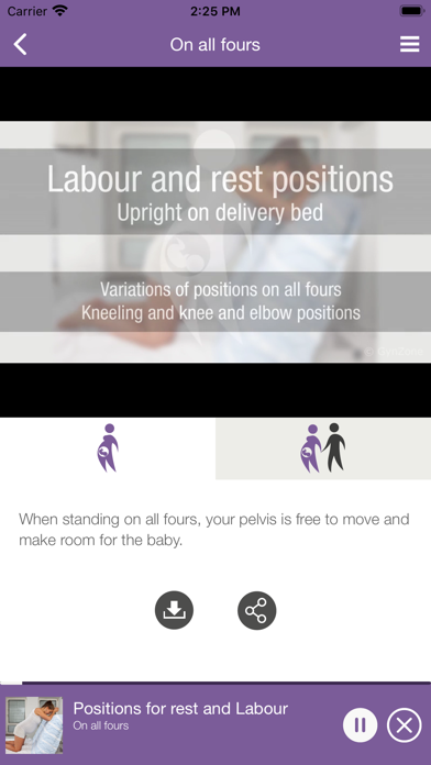 Birth Positions Screenshot