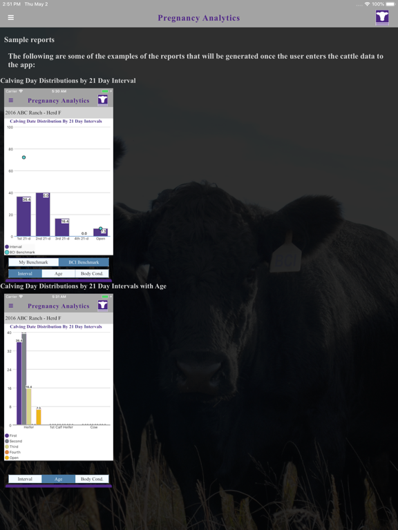 Screenshot #4 pour BCI Pregnancy Analytics