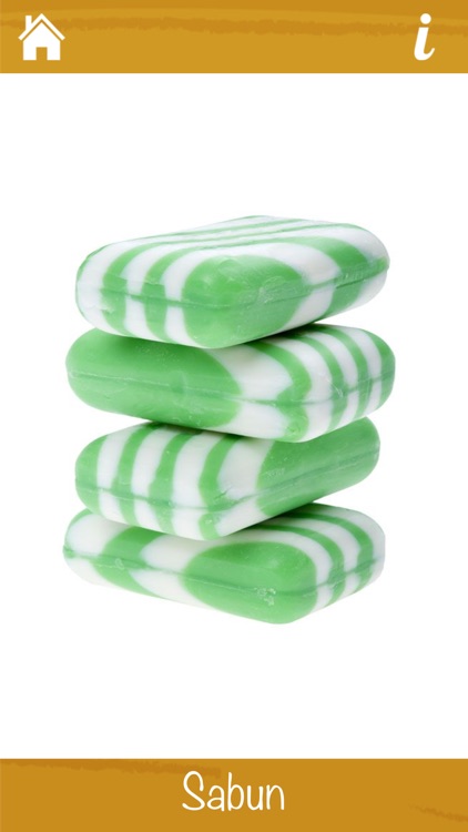 İlk Kelimeleri Öğreniyorum screenshot-6