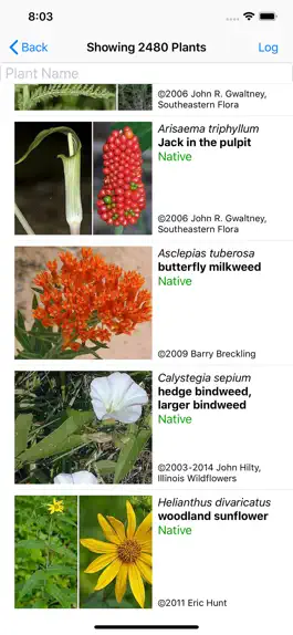 Game screenshot Indiana Wildflowers apk