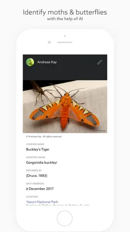 Game screenshot Leps by Fieldguide apk