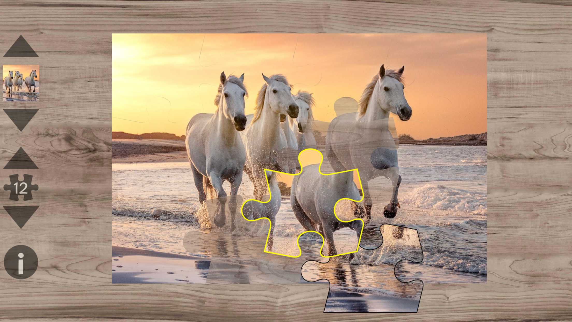 Pony Puzzles