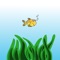 Swish Fish is a fun and addictive swimming fish adventure