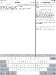 LibTerm ipad bilder 1