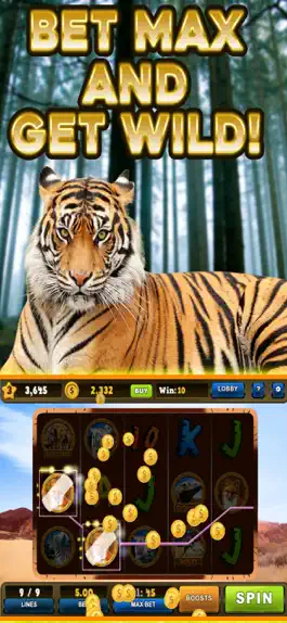 Game screenshot Wild Tiger Slots Machine Games hack