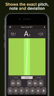 bass tuner bt1 iphone screenshot 2