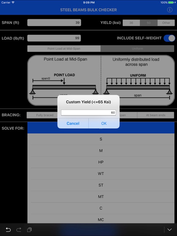 Steel Beams Bulk Checker iPad screenshot
