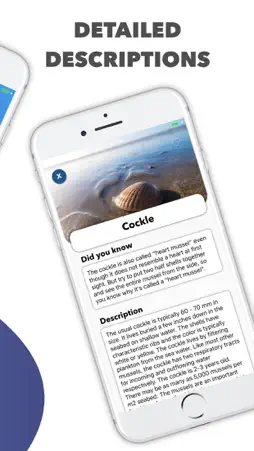 Beach Detector - Your guide screenshot 3