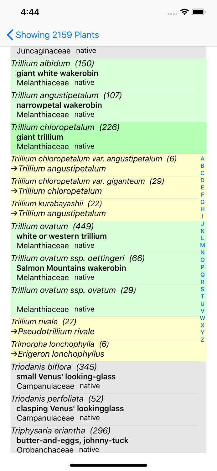 SF Bay Area Wildflowers