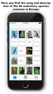 birds songs app, ornithology problems & solutions and troubleshooting guide - 2