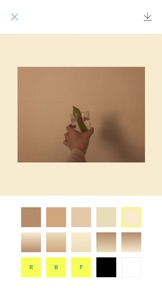 DYED Editor screenshot