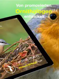 Vogel Id Gartenvögel bestimmen ipad bilder 1