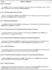 ny domestic relations law 2025 ipad images 2