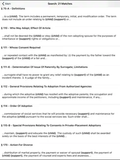 NY Domestic Relations Law 2026 iPad image 2