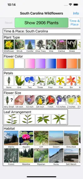 Game screenshot South Carolina Wildflowers mod apk