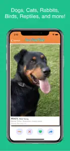 Furry Friend Finder Pet Rescue screenshot #2 for iPhone