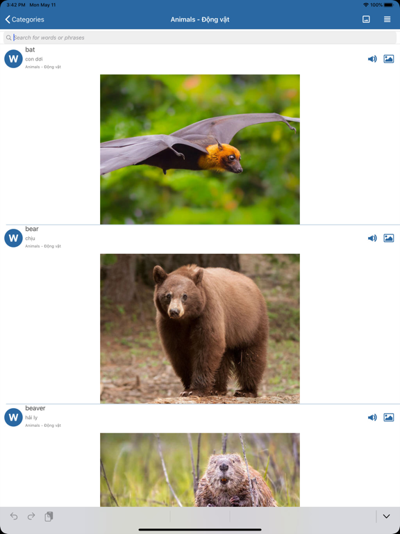 English Picture Dictionary Pro iPad screenshot 4 - Travel app