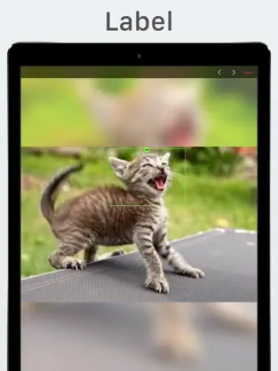 Screenshot 3 Lince iphone