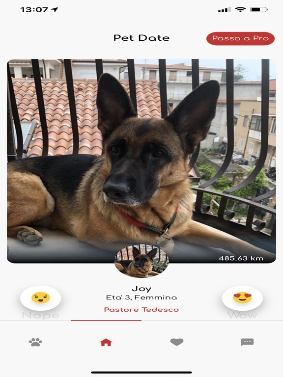 Screenshot #5 pour Petdate