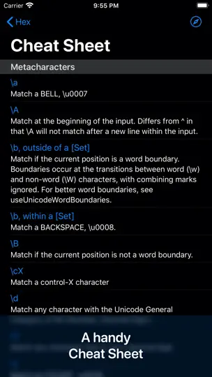 Captura de pantalla de RegEx+ en iPhone 2
