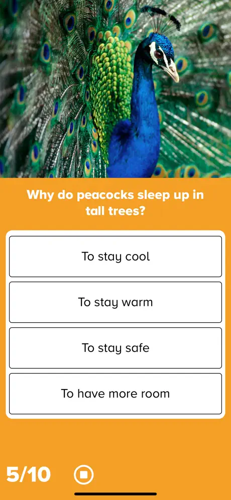 2nd Grade Reading