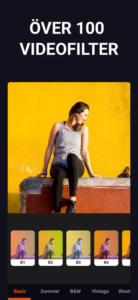 Redigera Video Musik