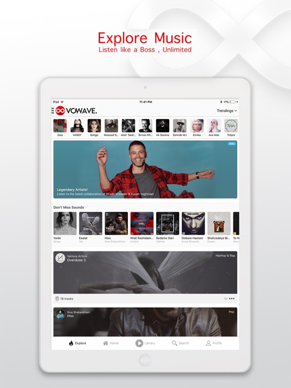 Screenshot #4 pour VOWAVE