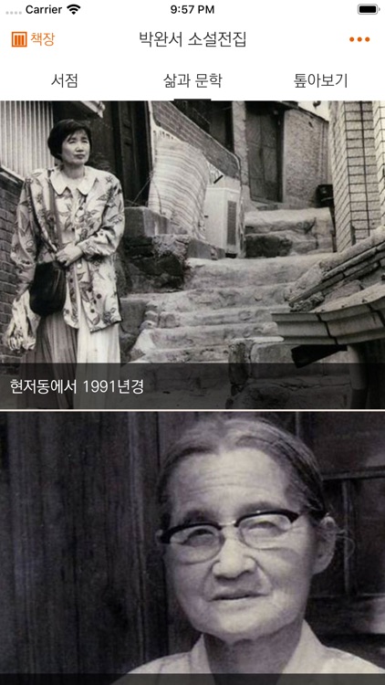 박완서 소설전집