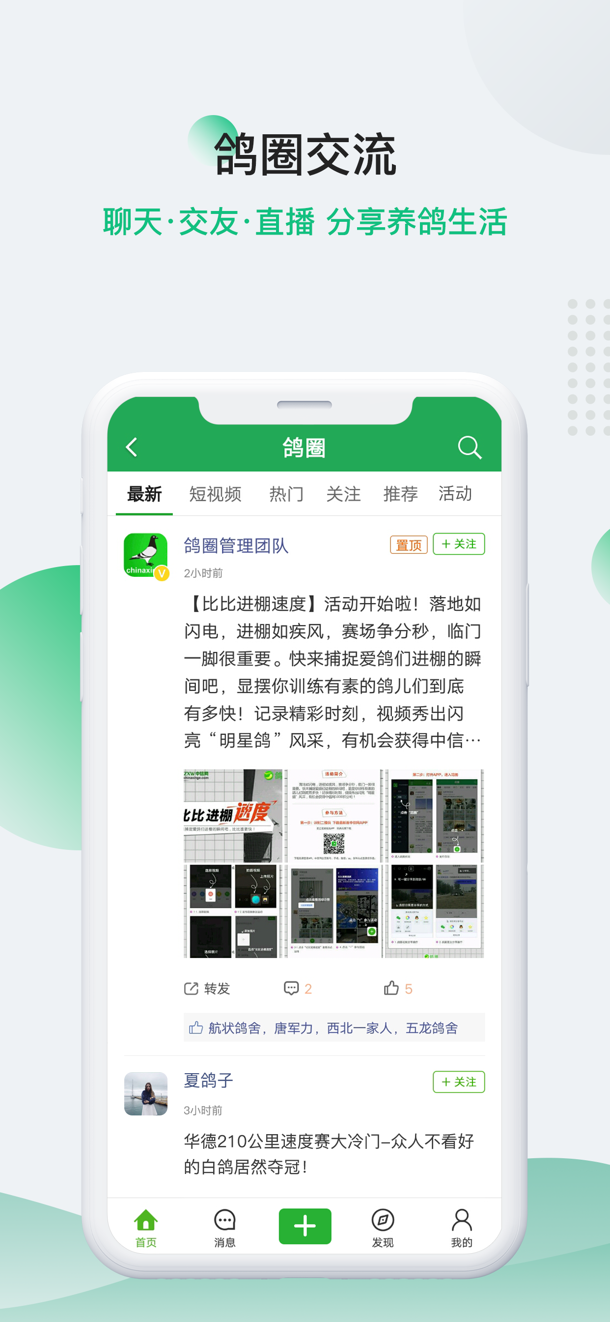 中国信鸽信息网chinaxinge.com