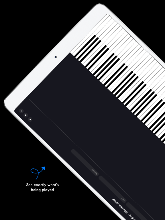 Augment - Your Music Teacher iPad screenshot 3 - Music app
