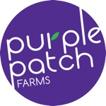 Download Purple Patch app