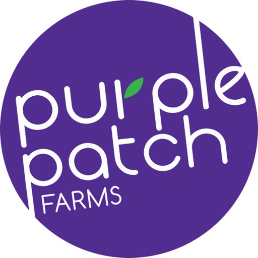 Purple Patch icon