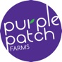 Purple Patch app download