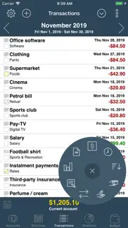 my budget book iphone resimleri 3