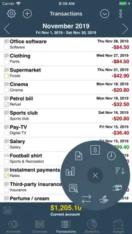 My Budget Book iphone bilder 3