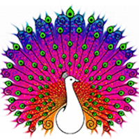 Girly Coloring Book Draw Arts