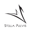 Stella Pulvis