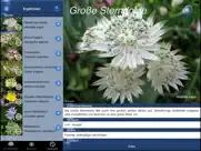 alpenblumen id automatik ipad capturas de pantalla 2