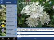 Alpenblumen Id Automatik ipad bilder 1