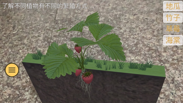 太陽植物AR教材-無圖卡版